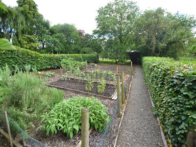 Picture 29